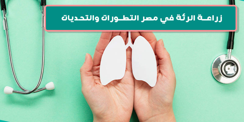 زراعة الرئة في مصر التطورات والتحديات